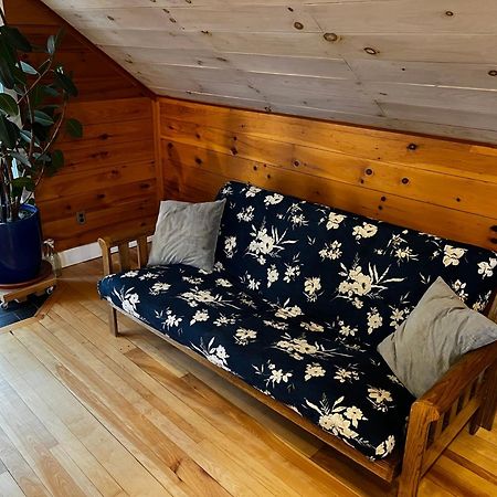 Bright And Cozy Treehouse Apartment Burlington Dış mekan fotoğraf